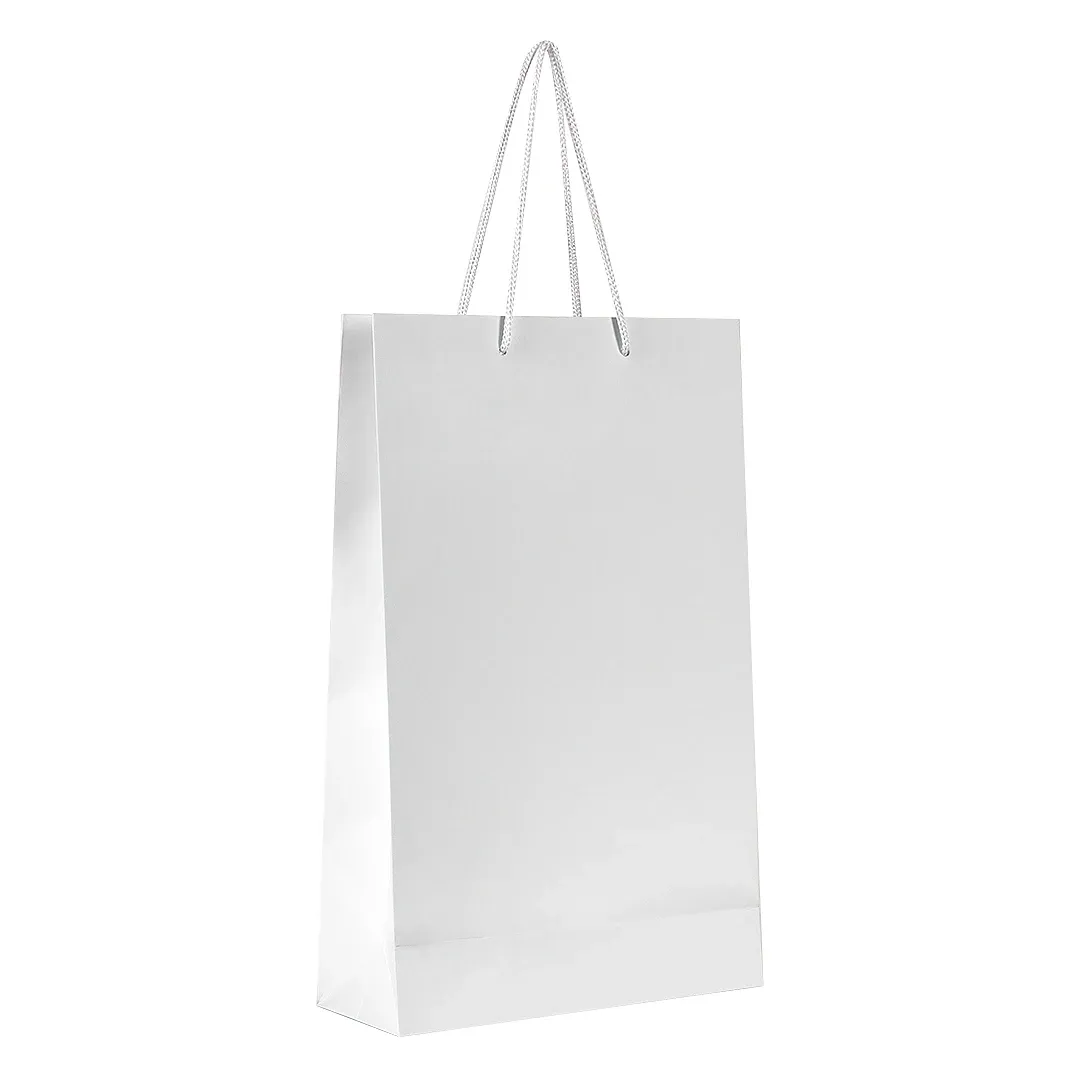 DINA, papirna kesa, mat laminirana, 170 g/m2, bela